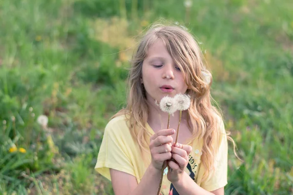 Adorable Girl Long Blond Hair Blowing Dandelion Flowers Green Grass — Stock Photo, Image