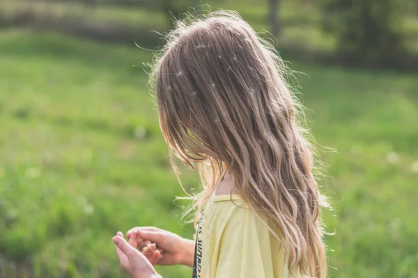 Kleines Mädchen Auf Der Wiese Mit Löwenzahnblütenschmuck Sonnenlicht — Stockfoto