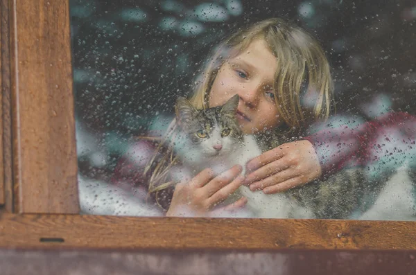 Yağmurdan Sonra Islak Pencerenin Arkasında Sevimli Bir Kedi — Stok fotoğraf