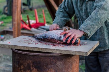 Balık adam yemek, kan ve bıçak için çiğ sazan balığı temizliyor ve hazırlıyor.