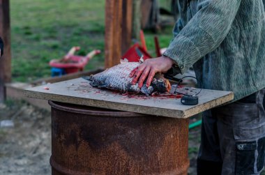 Balık adam yemek, kan ve bıçak için çiğ sazan balığı temizliyor ve hazırlıyor.