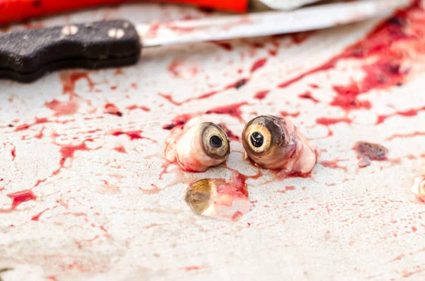 Ijesztő Furcsa Horror Kép Hal Pihen Miután Elkészített Étkezés — Stock Fotó