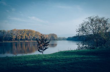 Güneşli sonbahar gününde durgun nehirdeki renkli sonbahar ağaçlarının yansıması