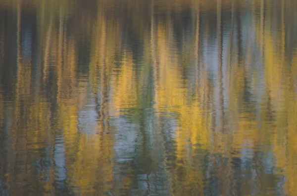Размытое Отражение Осенних Деревьев Поверхности Реки — стоковое фото