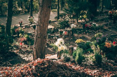 Sonbahar zamanı mezarlıkta renkli çiçeklerle süslenmiş.