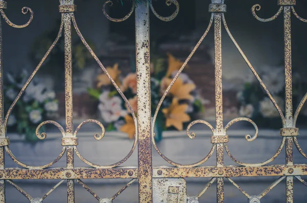 Fleurs Chrysanthème Décorations Religieuses Funéraires Sur Cimetière — Photo