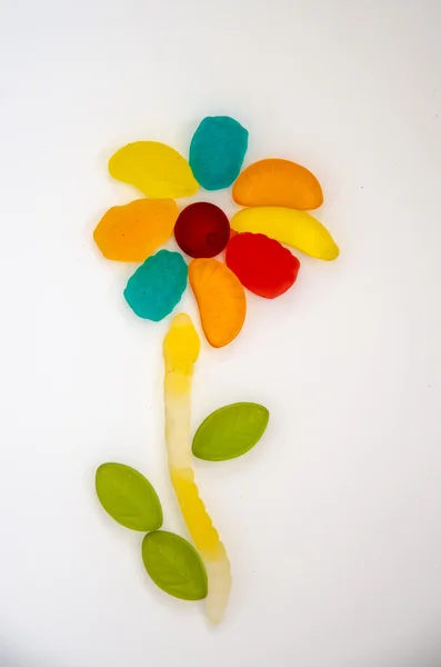 Candy flower — Stock Photo, Image
