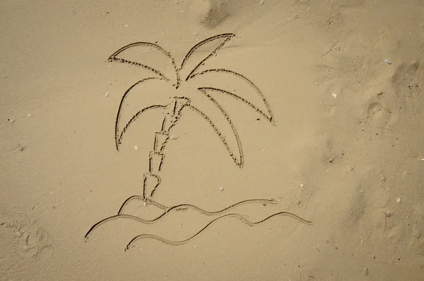 Palm in sand — Stock Photo, Image