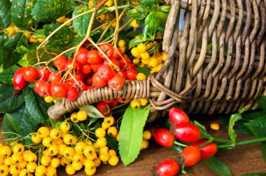 sonbahar dekorasyonu