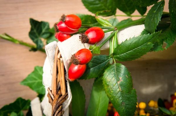 Brillanter Hintergrund — Stockfoto