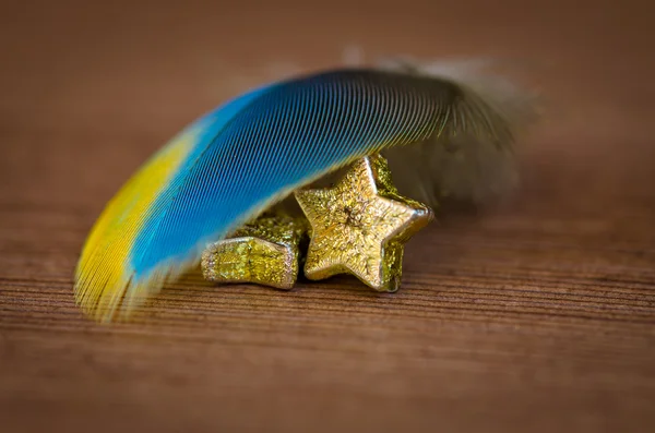 Estrelas protegidas por penas amarelas azuis — Fotografia de Stock