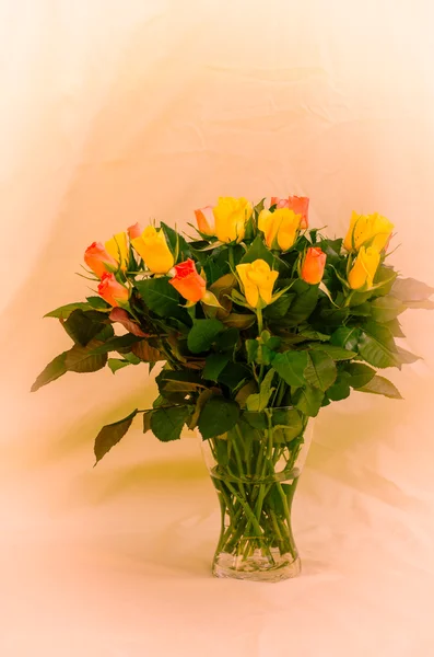 Yellow and orange roses — Stock Photo, Image