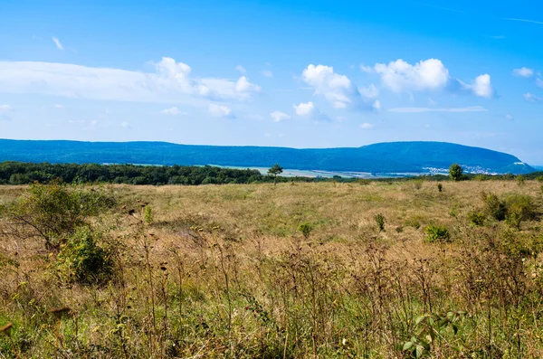 Manzara — Stok fotoğraf