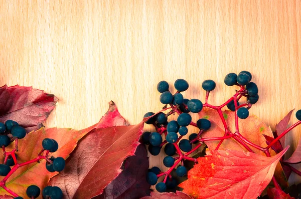 Autumn leaves decoration — Stock Photo, Image