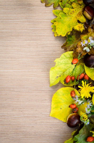 Decoración de otoño — Foto de Stock