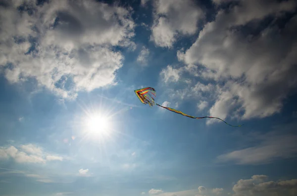 Cerf-volant coloré — Photo