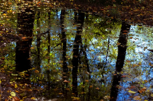 Concepto de otoño — Foto de Stock