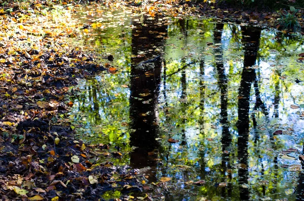 Concepto de otoño — Foto de Stock