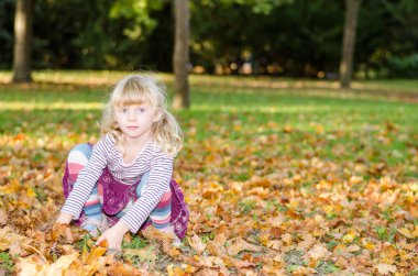 sonbahar çayır sarışın kız