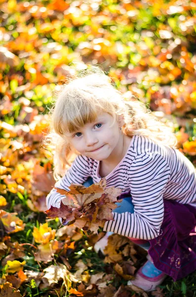 Sonbahar Park sarışın kız — Stok fotoğraf