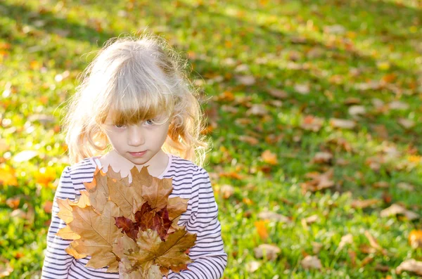 Girl with autumn leaves — Stock Photo, Image