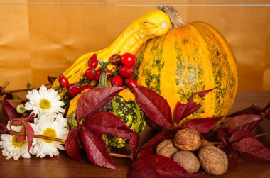 sonbahar dekorasyonu