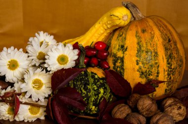 sonbahar dekorasyonu