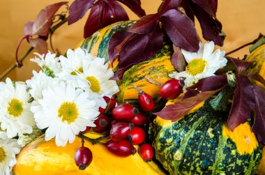 sonbahar dekorasyonu