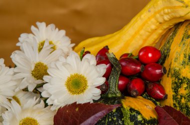 sonbahar dekorasyonu