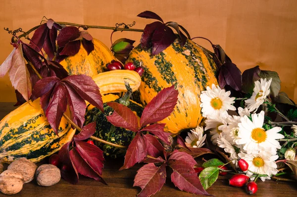 Осеннее украшение тыквы — стоковое фото