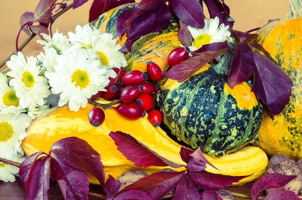 sonbahar dekorasyonu