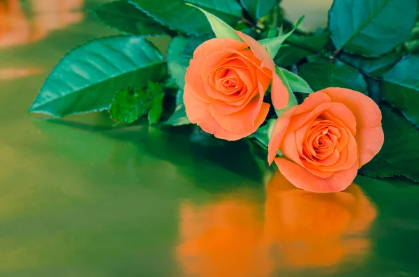 Tarjeta de felicitación con rosas — Foto de Stock