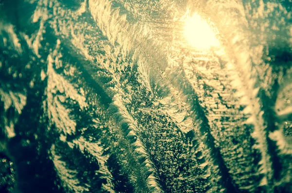 Fenster eingefroren — Stockfoto