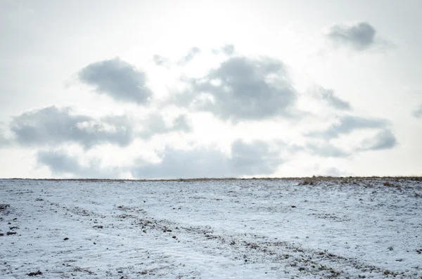 Scena campo invernale — Foto Stock