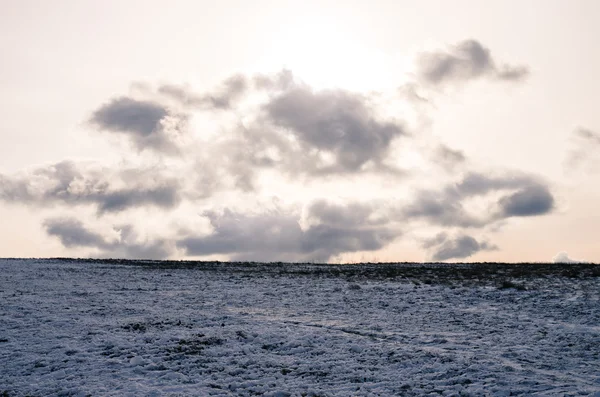 Scena campo invernale — Foto Stock