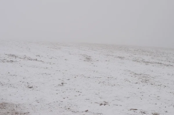 Śnieg na pole — Zdjęcie stockowe