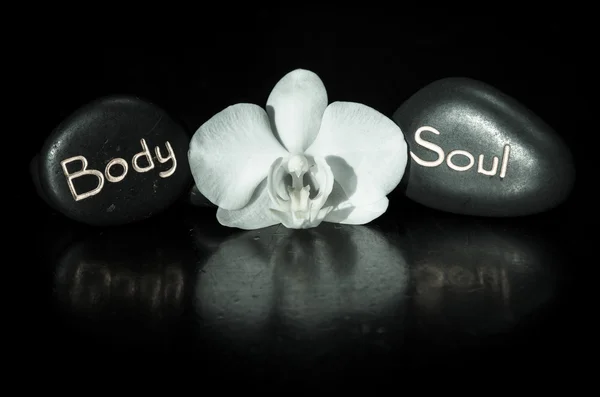Слово тіло і душа і біла орхідея — стокове фото