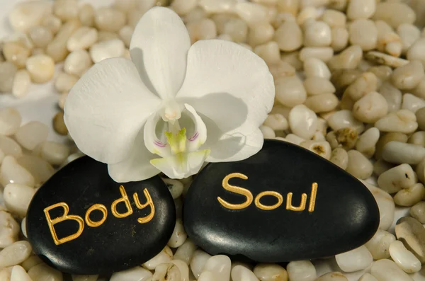 Word body and soul and white orchid — Stock Photo, Image