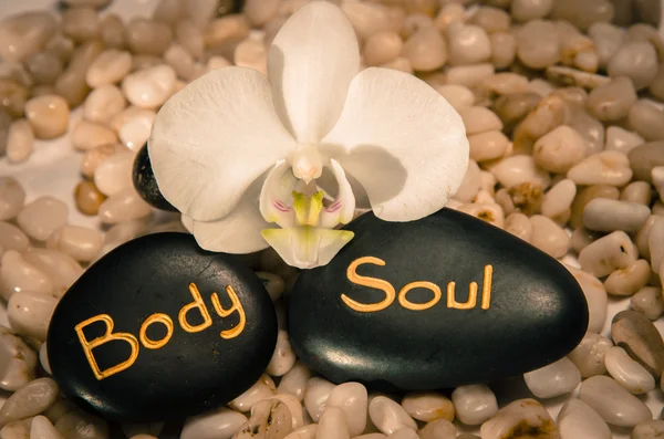 Word body and soul and white orchid — Stock Photo, Image
