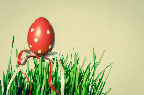 Huevo de Pascua — Foto de Stock