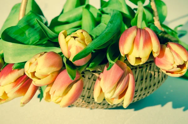 Tulips in wooden basket — Stock Photo, Image