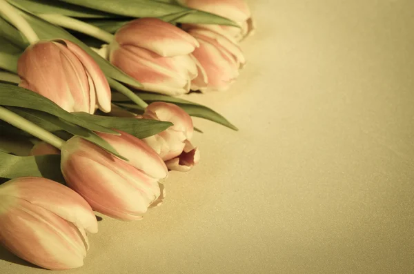 Tulips retro effect — Stock Photo, Image