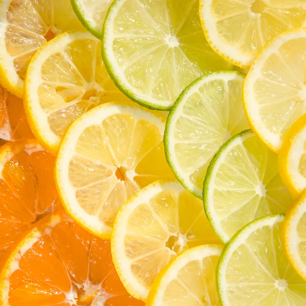 Citrus Mix — Stockfoto