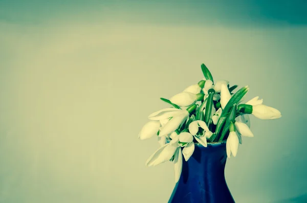 Sněženky v váza — Stock fotografie