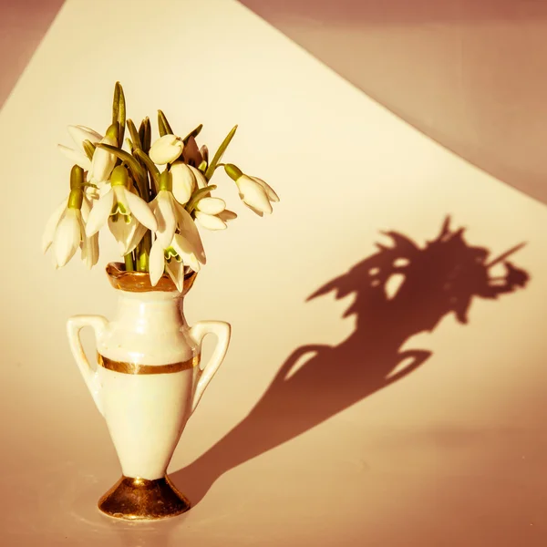 花瓶のスノー ドロップ — ストック写真