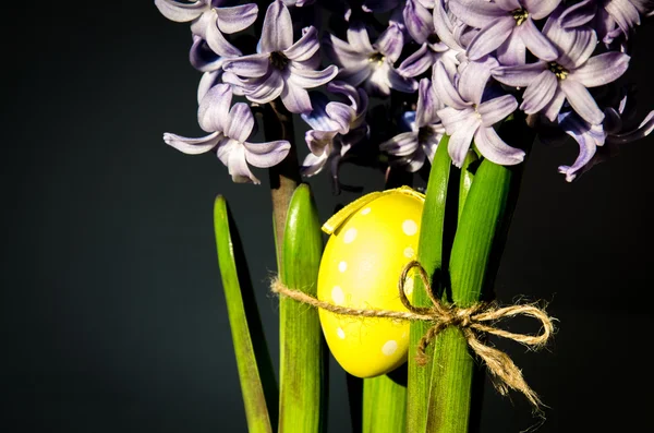 Flor de jacinto y huevo de Pascua —  Fotos de Stock