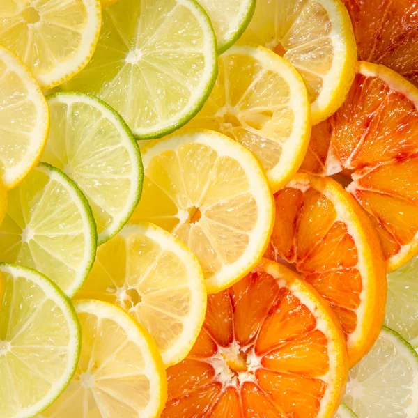 Citrusvruchten segment achtergrond — Stockfoto