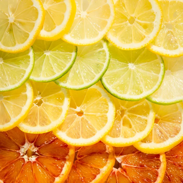 Sinaasappel, citroen, limoen segmenten — Stockfoto