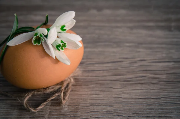 Oeuf de Pâques et chute de neige — Photo