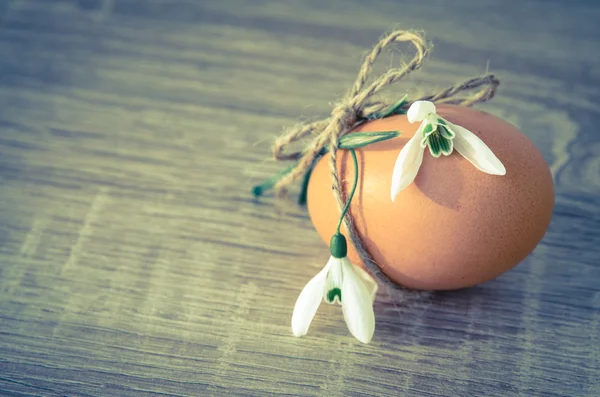Easter egg and snowdrop — Stock Photo, Image